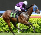 Bullet Fly<br>Photo by Singapore Turf Club